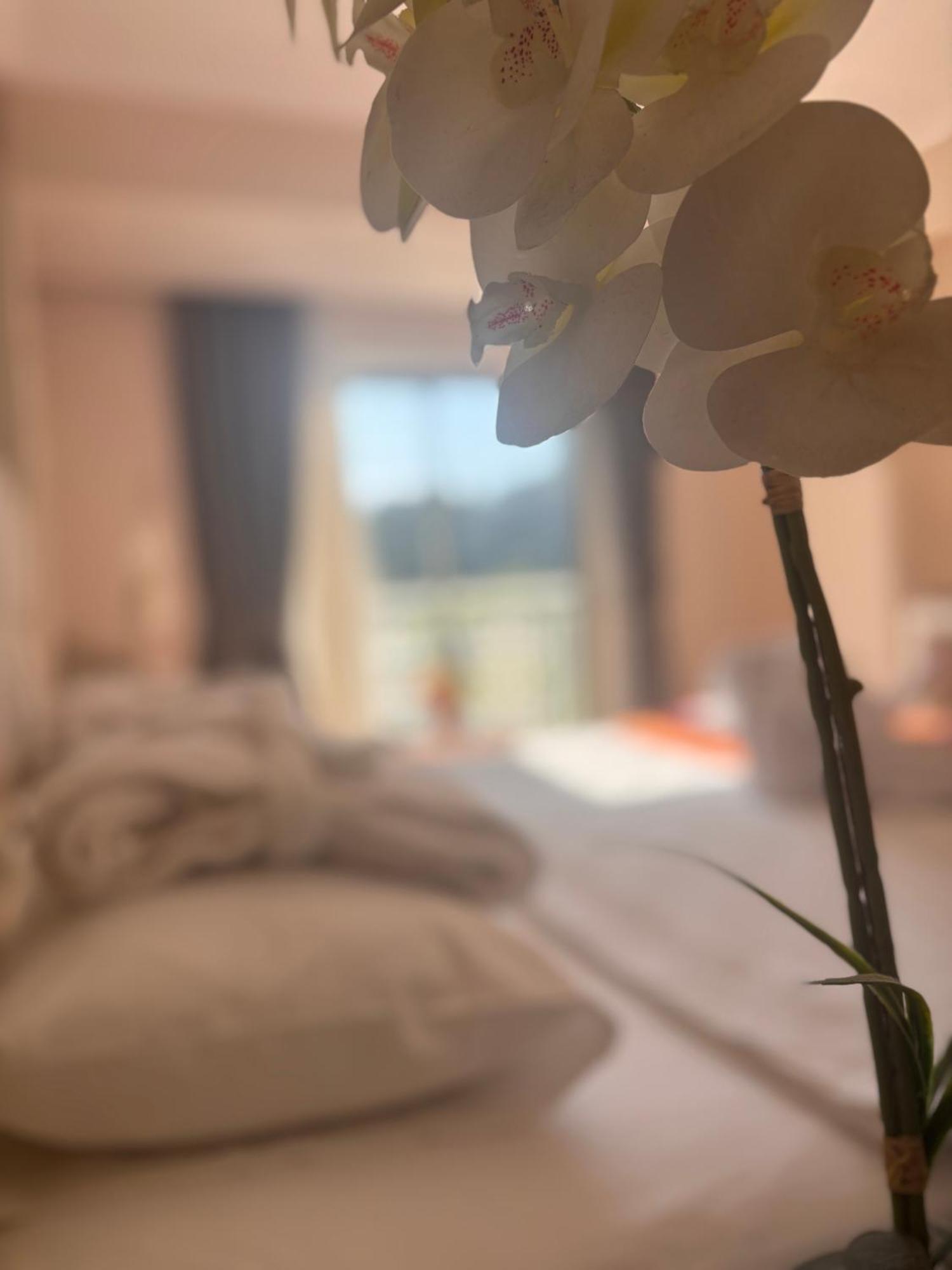 Grand Mir'amor Hotel&spa Otel